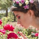 로즈데이 이미지