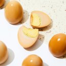 상상오리 이미지