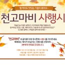 바른먹거리 바른한우 이미지