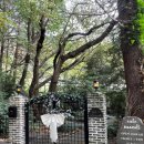 카페만디 이미지