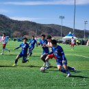 군민체육공원 인조1구장 이미지