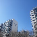 방배카페거리 1-9 이미지
