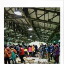 중매인55호 이미지