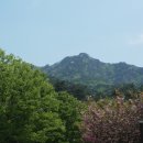 성불산자연휴양림 이미지