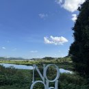 희찬이의 계절🌸 이미지