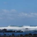 제9호 태풍 마이삭 한반도 상륙 예상..이동경로 이미지