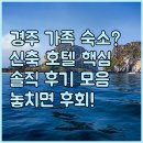 럭셔리 성인PC 게임장 | 경주 가족 여행 숙소 신축 리모델링 호텔 리조트별 장점과 솔직 후기 모음