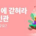 반딧불이씨앤씨 이미지