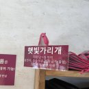 오키나와 부모님 효도여행(1)_힐링 숙소추천 글램데이 스타일 오키나와 조식 라운지 후기