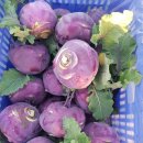 건우농장 이미지