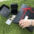 피크파인 이미지