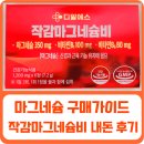 마그네슘 구매가이드, 약국마그네슘영양제 고함량 작감마그네슘비 복용법 &#39;내돈내산&#39; 섭취 후기