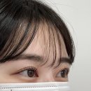 토지아트샵