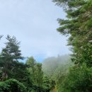 둥지휴양림 이미지