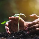 장돌주식회사 이미지