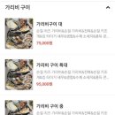 동해가리비