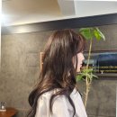 하나로미용실 - 사하구 오작로 165 | 서면미용실에서 샴푸 지압 하나로 피로 싹 날리고 온 솔직 후기
