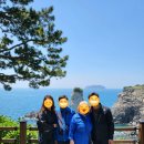 해뜨는 아침 | 제주 서귀포 외돌개, 해물요리 맛집, 올레시장 간식 거북이 한과, 해뜨는성 펜션 추천 후기