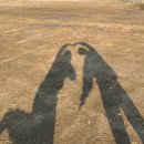 구시포노을캠핑장 이미지