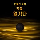 몸에 좋은 한약재가 한 알에 담겨있다 마임건강식품 진품원기단