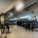 올 마이트 짐 이미지