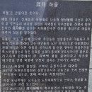 월계사 소장 목조아미타불좌상 | 26.7.6 명월성지-월계사-한림성당-우지연대-귀덕연대-곽지패총-애월연대-애월진성-문귀인가옥.오광준...