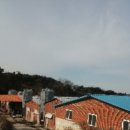 영광목장 1 이미지