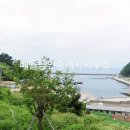 삼산면-1 이미지
