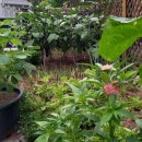 김효정공인중개사사무소 이미지