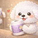 라벤더&바닐라 | [코멧 순백 3겹 라벤더 바닐라 롤화장지] 후기