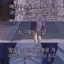 데이식스 &lt;FOREVER YOUNG in Seoul Finale&gt; / 난 여기 서있을게 영원히