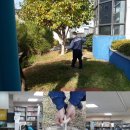 거제시립장승포도서관 이미지