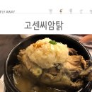 고센씨암탉