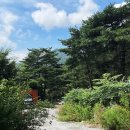 무릉도원면-38 이미지