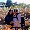 단풍절정 이미지