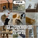 고양이입양소 | 잠실 데이트 추천! 고양이카페 길고양이마을 송파점 솔직 후기 (가족 나들이 가능)