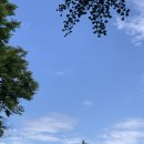 한국생산성본부 Ipp 인턴 후기 2편 - 소확행 : 재택근무 / 땡땡이 / 회식 / 선물교환