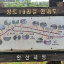 철로변녹지대 이미지