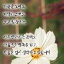 동성길 네이버블로그