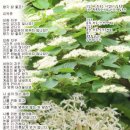 꽃에반해향기에반해