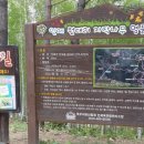 자작나무힐 이미지