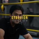 스탈리온복싱짐