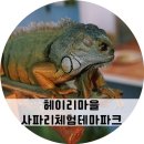 사파리체험테마파크 이미지