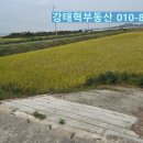 강태혁공인중개사사무소 이미지