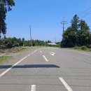 표선면-3 이미지