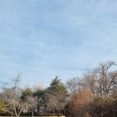 남산그린슈퍼 이미지