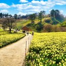낙동강변 축구장 1 이미지