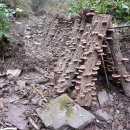 산골농장 이미지