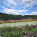 도담정원 이미지