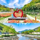 와룡산청룡사앞 이미지